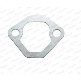 Joint d'étanchéité, pompe à carburant PAYEN KT446