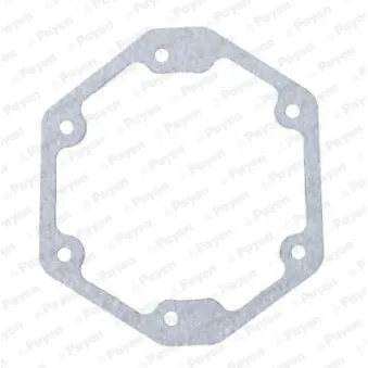 PAYEN LS859 - Joint d'étanchéité, carter de distribution