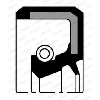 Bague d'étanchéité, pompe à huile PAYEN NJ963