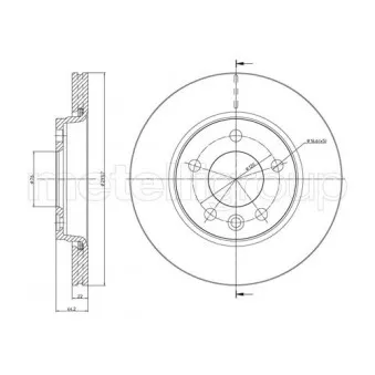 Jeu de 2 disques de frein arrière METELLI OEM 7H0615601B
