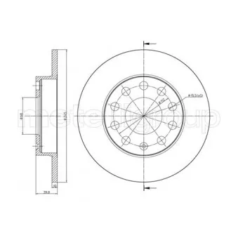 Jeu de 2 disques de frein arrière METELLI OEM 8E0615601P