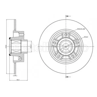 Jeu de 2 disques de frein arrière METELLI OEM 432000010r