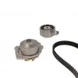 Pompe à eau + kit de courroie de distribution METELLI [30-0690-1]