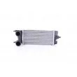 NISSENS 961485 - Intercooler, échangeur