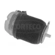 CORTECO 49430533 - Ressort pneumatique, châssis
