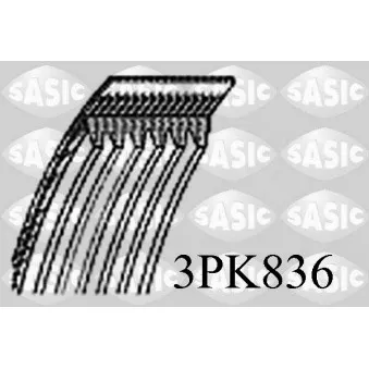 SASIC 3PK836 - Courroie trapézoïdale à nervures