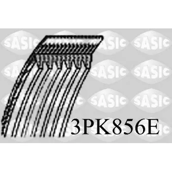 Courroie trapézoïdale à nervures SASIC [3PK856E]