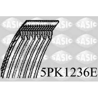 SASIC 5PK1236E - Courroie trapézoïdale à nervures