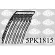 SASIC 5PK1815 - Courroie trapézoïdale à nervures