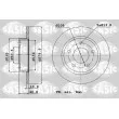 SASIC 6106011 - Jeu de 2 disques de frein arrière