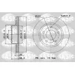 SASIC 6106170 - Jeu de 2 disques de frein arrière