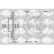 SASIC 6106181 - Jeu de 2 disques de frein arrière