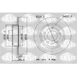 SASIC 6106359 - Jeu de 2 disques de frein arrière