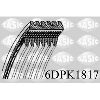 SASIC 6DPK1817 - Courroie trapézoïdale à nervures