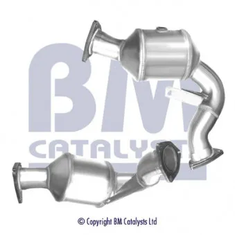 Catalyseur BM CATALYSTS BM92108H