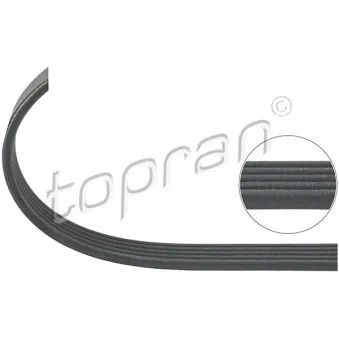 TOPRAN 100 340 - Courroie trapézoïdale à nervures