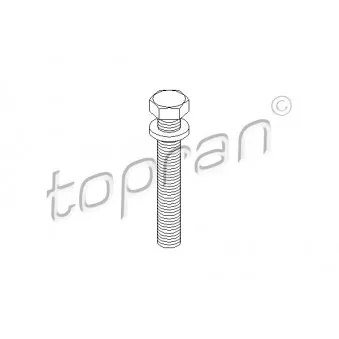 Boulon de poulie TOPRAN OEM n90498001