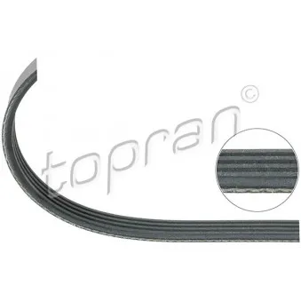 TOPRAN 109 660 - Courroie trapézoïdale à nervures