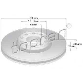 TOPRAN 110 420 - Jeu de 2 disques de frein avant