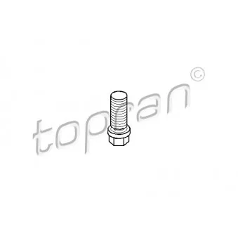 Vis-bouchon, carter d'huile TOPRAN 400 304