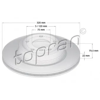 TOPRAN 501 193 - Jeu de 2 disques de frein arrière