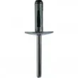 KS TOOLS 420.5051 - Assortiment, rivets aveugles