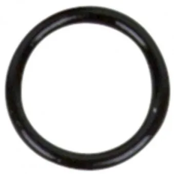 Assortiment, joint torique KS TOOLS 515.3101-R019P