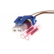 Kit de réparation pour câbles, projecteur principal SENCOM [SEN503096]
