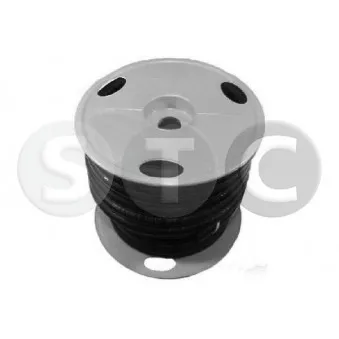 Tuyau de carburant STC [T402023]