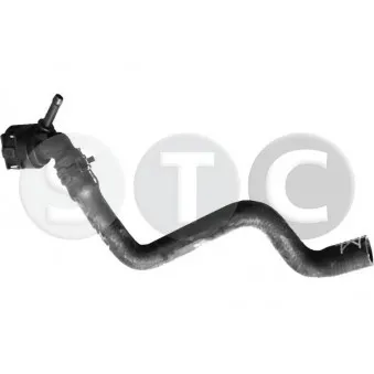 STC T499480 - Durite de radiateur