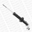 MONROE 376180SP - Jeu de 2 Amortisseurs avant