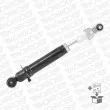 MONROE 376236SP - Jeu de 2 amortisseurs arrière
