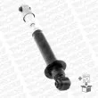 MONROE 376236SP - Jeu de 2 amortisseurs arrière