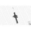 MONROE 401007RM - Jeu de 2 amortisseurs avant