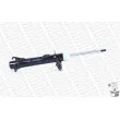 MONROE 401103RM - Amortisseur avant gauche