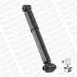 MONROE 43122 - Jeu de 2 amortisseurs arrière