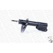 MONROE 71661 - Jeu de 2 Amortisseurs avant
