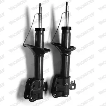 Jeu de 2 amortisseurs arrière MONROE D0005