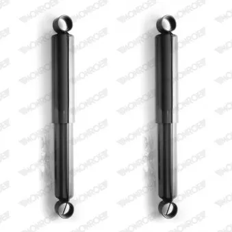 Jeu de 2 amortisseurs arrière MONROE OEM 4854139025