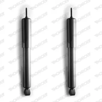 Jeu de 2 amortisseurs arrière MONROE OEM 436291