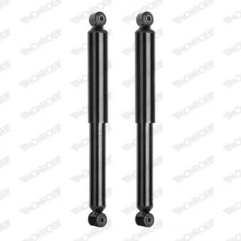 Jeu de 2 amortisseurs arrière MONROE OEM 48531B4030