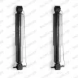 Jeu de 2 Amortisseurs avant MONROE [D8350]