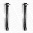 MONROE D8351 - Jeu de 2 Amortisseurs avant