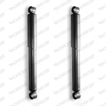 Jeu de 2 amortisseurs arrière MONROE OEM J4853180112