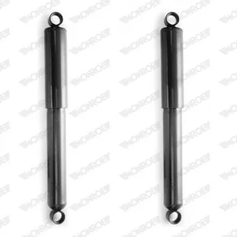 Jeu de 2 amortisseurs arrière MONROE OEM 5621035G00