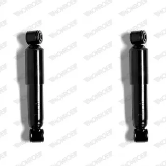 Jeu de 2 amortisseurs arrière MONROE OEM 46784221