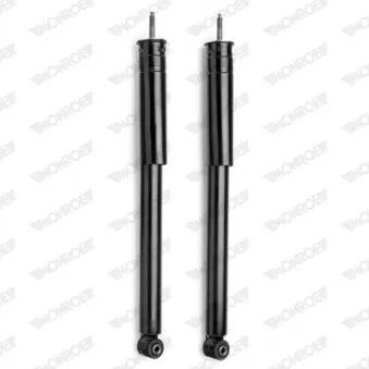 Jeu de 2 amortisseurs arrière MONROE OEM 2033200031