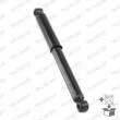 MONROE G1084 - Jeu de 2 amortisseurs arrière