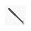 MONROE G1084 - Jeu de 2 amortisseurs arrière