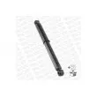 MONROE G1084 - Jeu de 2 amortisseurs arrière